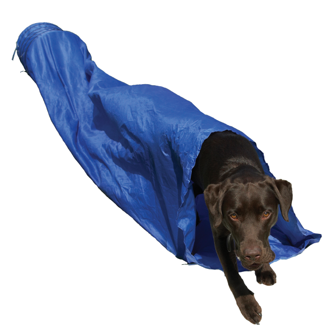 Rosewood Agility Tunnel