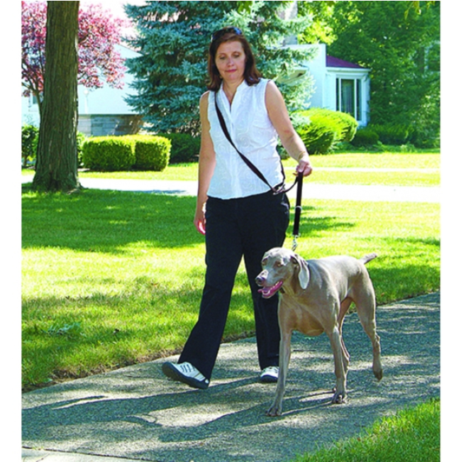 Rosewood Multi-Functional Nylon Dog Lead strapped over shoulder lifestyle with dog