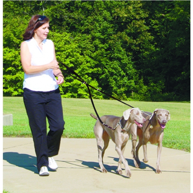 Rosewood Multi-Functional Nylon Dog Lead walking two dogs at once multi function