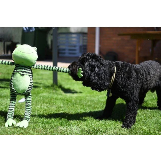 Rosewood Froggie Long Legs lifestyle with black dog pulling on frogs arm