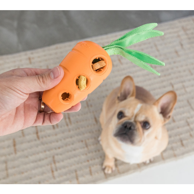 Carrot Stuffer Dog Treat Toy with carrot stuffed with treats lifestyle dog