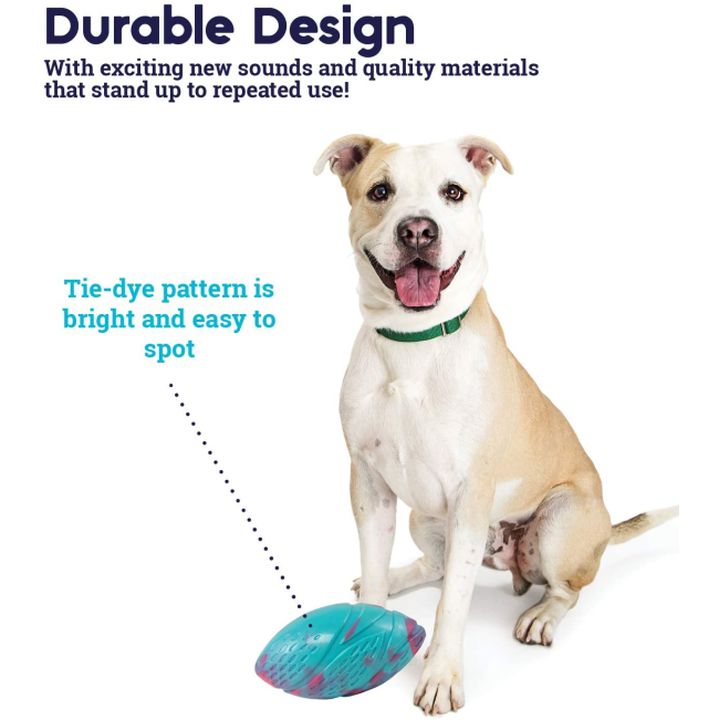 Grunt Fetch Football Dog Toy blue and pink durable design with white dog