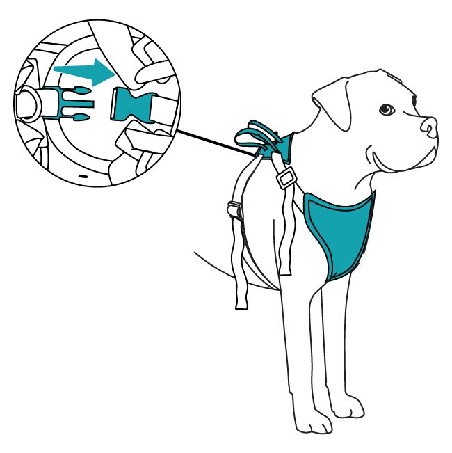 Happy Ride Dog Safety Harness how to use infographic