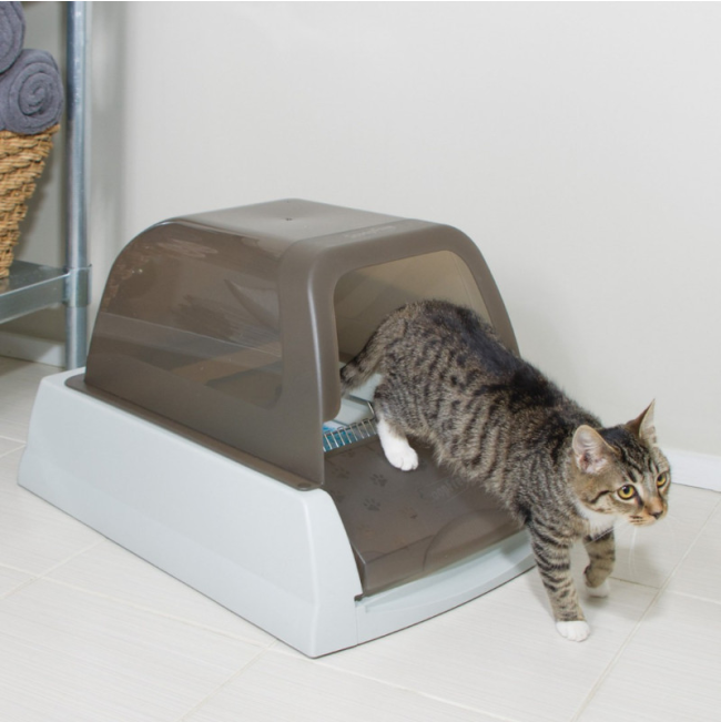 ScoopFree™ Ultra Self-Cleaning Litter Box lifestyle with grey cat