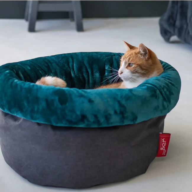 Wagworld Nap Sack grey and teal with ginger cat lifestyle image