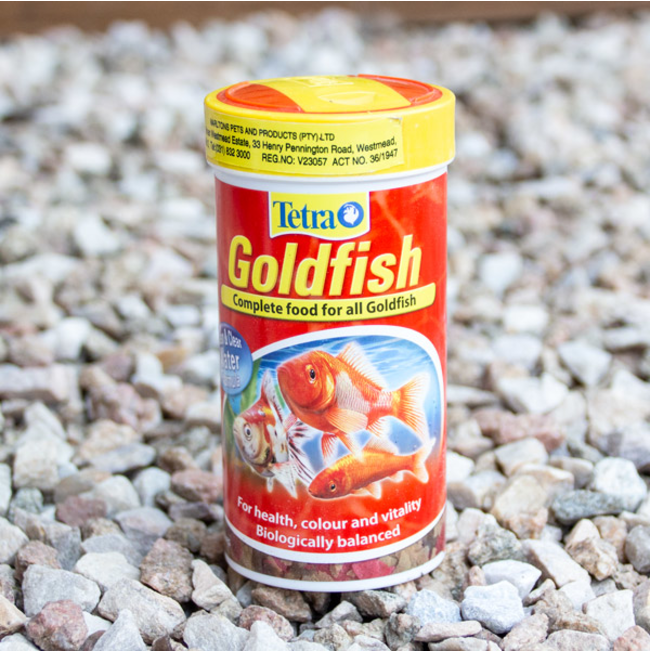 Tetra Goldfish Flakes on grey pebbles