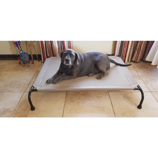 Hound Sleeper Patio Raised Dog Bed beige with black dog