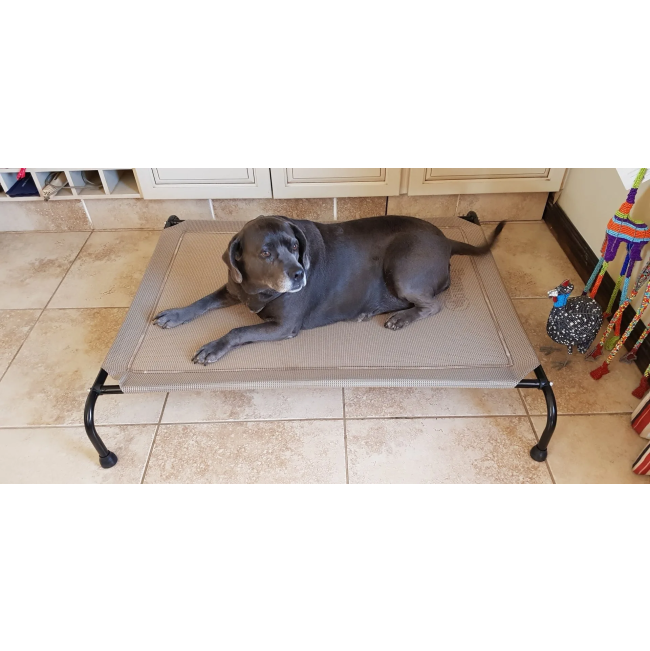 Hound Sleeper Patio Raised Dog Bed beige lifestyle with black dog