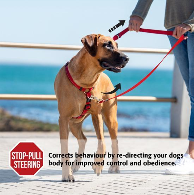 Control Multi Dog Lead lifestyle infographic with red lead and brown dog