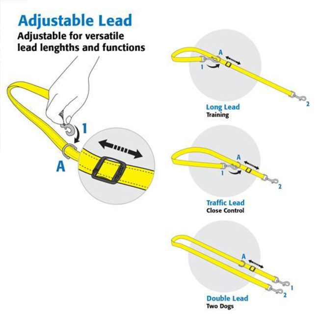 Control Multi Dog Lead adjustable lead infographic