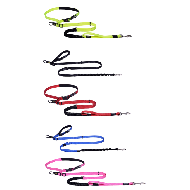 Hands Free Dog Lead group black, blue, red, pink and yellow