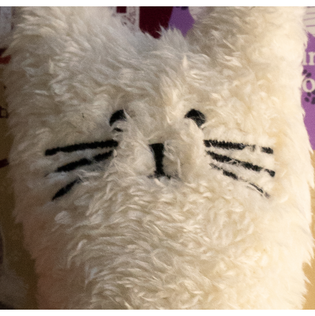 Rosewood Little Nippers Kitty Crunch close up of white face with black details