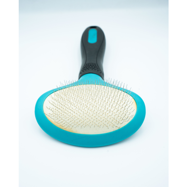 Oval Slicker Brush For Dogs view from the front with slicker teeth