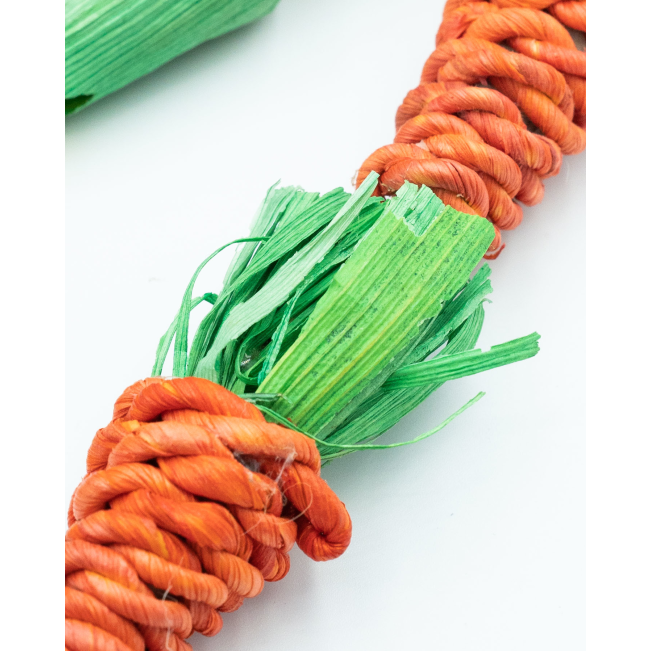 Carrot Dreamcatcher Small Pet Toy close up of carrot with paper grass