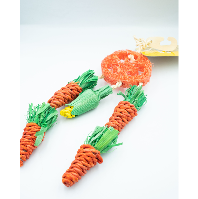 Carrot Dreamcatcher Small Pet Toy side profile with orange sisal carrots and green accents