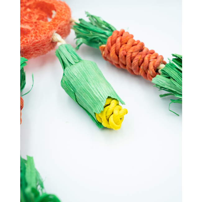 Carrot Dreamcatcher Small Pet Toy close up of yellow corn cob