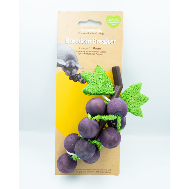 Grape ‘n Gnaw Toy for Small Pets & Birds in packaging