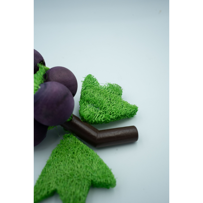 Grape ‘n Gnaw Toy for Small Pets & Birds close up of stale made from wood