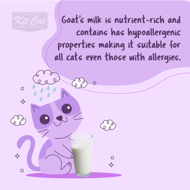 Kit Cat Wet Cat Food Chicken In Goat’s Milk information picture one