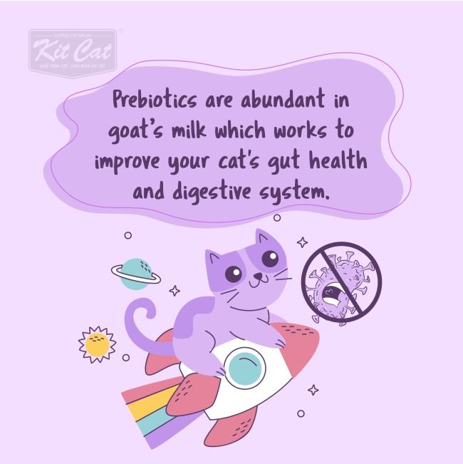 Kit Cat Wet Cat Food Chicken In Goat’s Milk information picture three