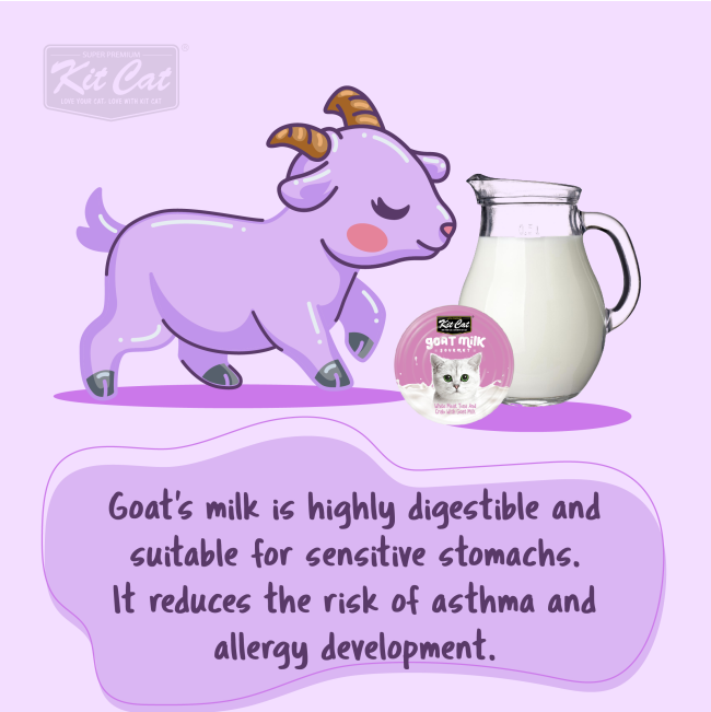Kit Cat Wet Cat Food Chicken In Goat’s Milk information picture four