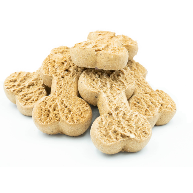 Montgomery’s Mango and Orange Dog Biscuits actual brown biscuits