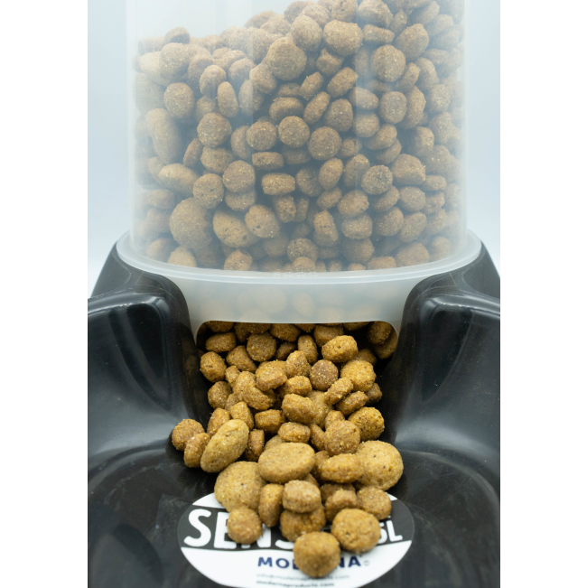 Sensiflo Cat Food & Water Dispenser black color close up with kibble