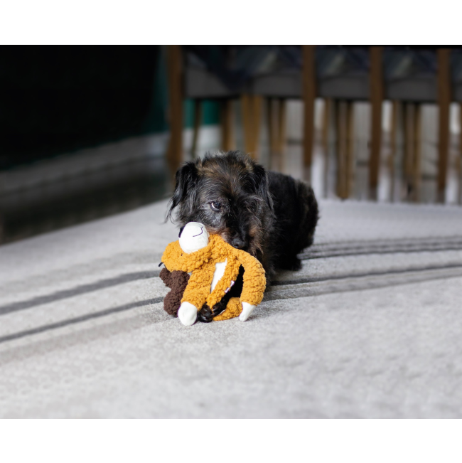 Aromadog Rescue Plush Dog Toys For Rescue Dogs lifestyle with brown dog