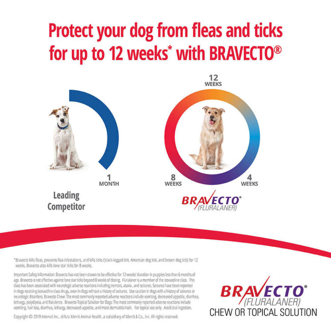 Bravecto Chewable Tick & Flea Tablet for Dogs information picture of 12 weeks of protection