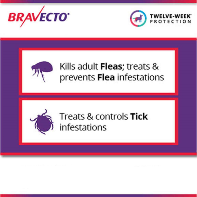 Bravecto Chewable Tick & Flea Tablet for Dogs information picture of ticks and fleas