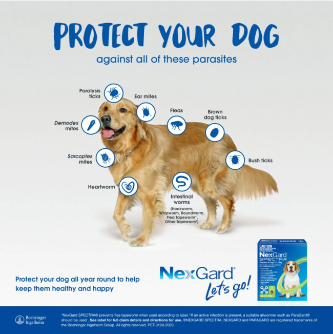 NexGard Spectra Chewable Mixed Parasite Tablets for Dogs information picture of what it protectss against