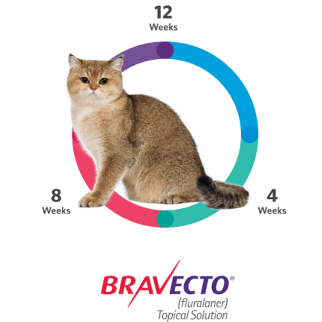 Bravecto Plus Tick, Flea & Dewormer Spot On for Cats information picture with 12 weeks protection