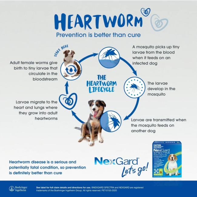 NexGard Spectra Chewable Mixed Parasite Tablets for Dogs protection against heartworm