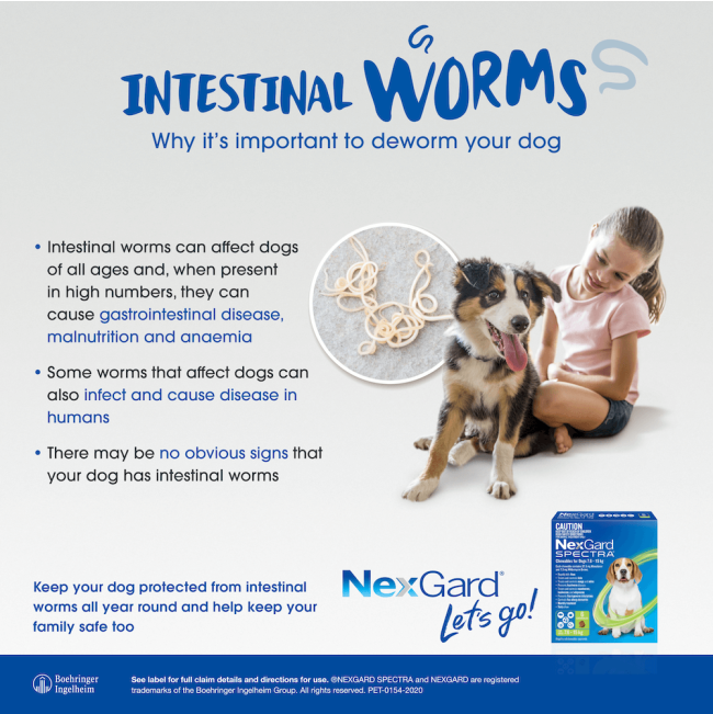 NexGard Spectra Chewable Mixed Parasite Tablets for Dogs protection against intestinal worms