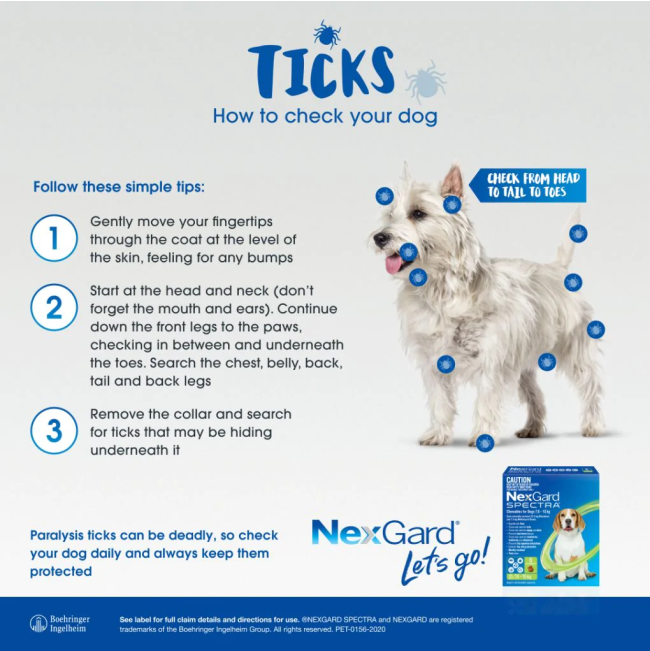 NexGard Spectra Chewable Mixed Parasite Tablets for Dogs protection against ticks