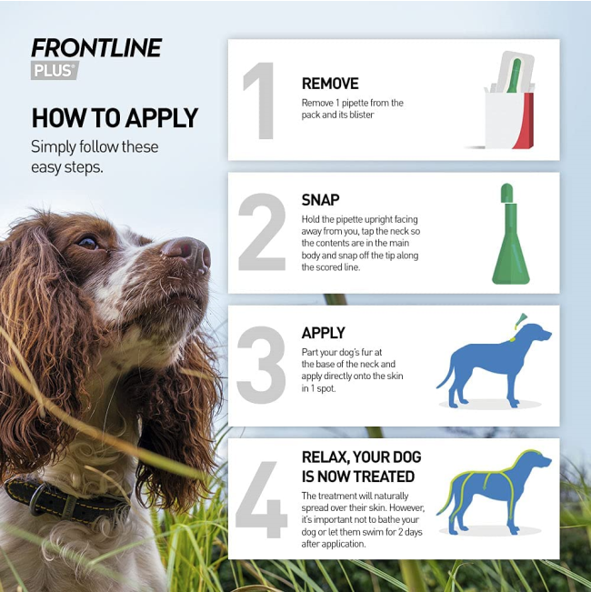 Frontline Plus for Dogs Tick & Flea Spot On Treatment hot to apply