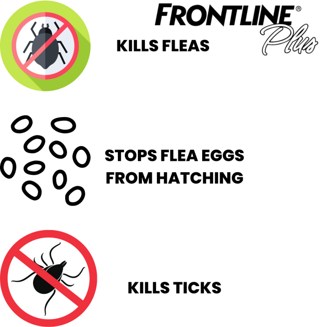 Frontline Plus for Dogs Tick & Flea Spot On Treatment what it treats