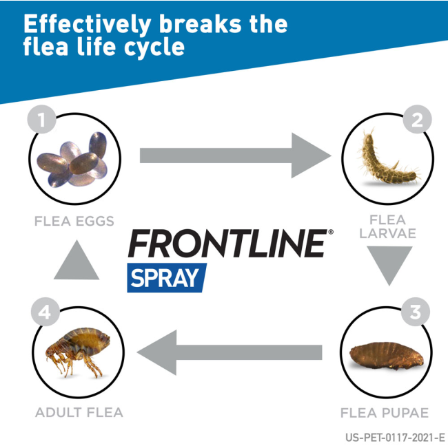 Frontline Spray Treatment for Tick & Fleas on Dogs and Cats flea life cycle inforgraphic