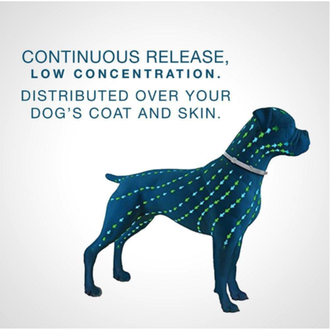 Seresto Tick, Flea & Biting Lice Control Collar for Dogs continuous release
