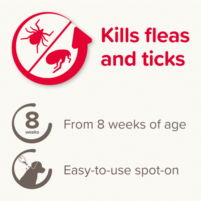 Fiprotec Spot On Tick & Flea Treatment for Dogs  protection from 8 weeks and easy to use