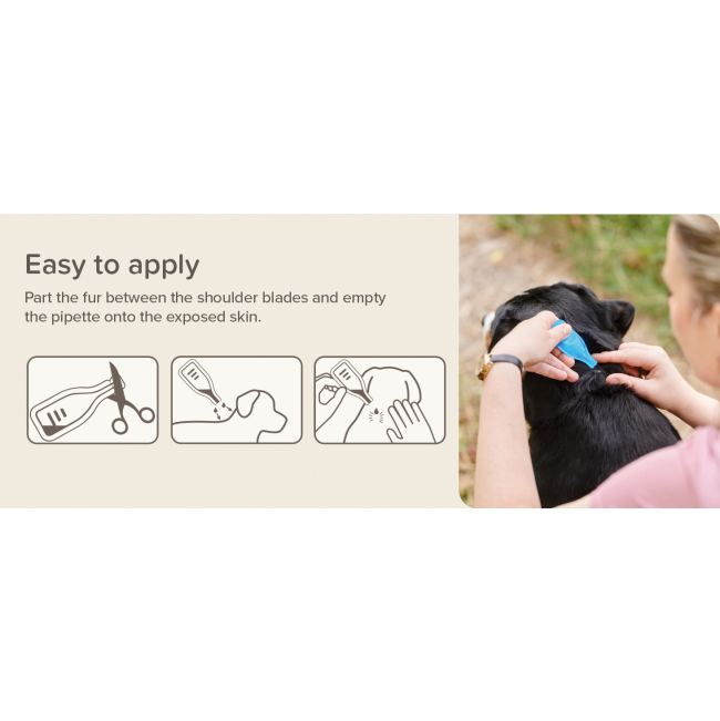 Fiprotec Spot On Tick & Flea Treatment for Dogs how to apply the spot on treatment
