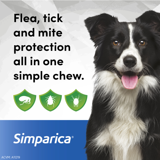 Simparica Chewable Tick & Flea Tablets for Dogs protects against flea, tick and mites