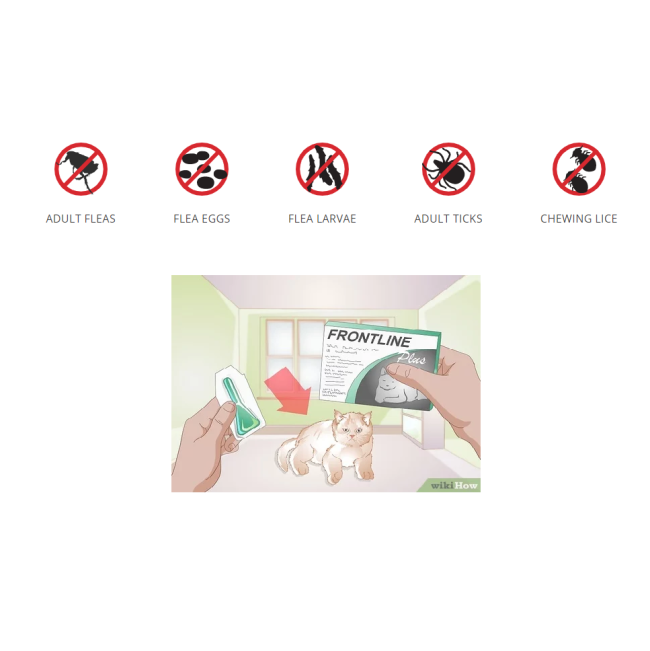 Frontline Plus Tick & Flea Spot On Treatment for Cats what is protects against