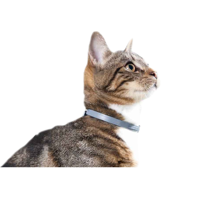 Seresto Tick and Flea Collar for Cats grey collar on brown and white cat lifestyle image