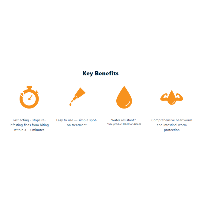Advocate Mixed Parasite Spot On Treatment for Cats they key benefits of the spot on treatment