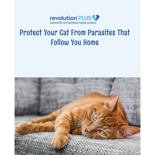 Revolution Plus For Cats Mixed Parasite Spot On protection against those follow home pests