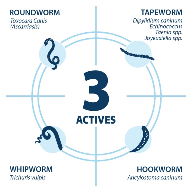 TriWorm Dewormer for Dogs what it protects against, roundworm, hookworm, tapeworm and whipworm