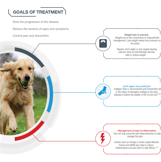 GCS Joint Care Advanced Powder For Dogs information picture of the goals of treatment