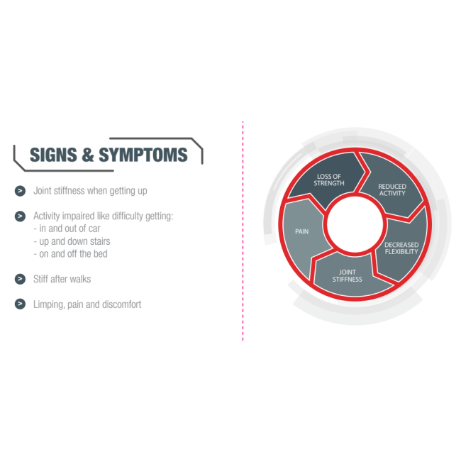 GCS Joint Care Advanced Powder For Dogs information picture of the signs and symptoms