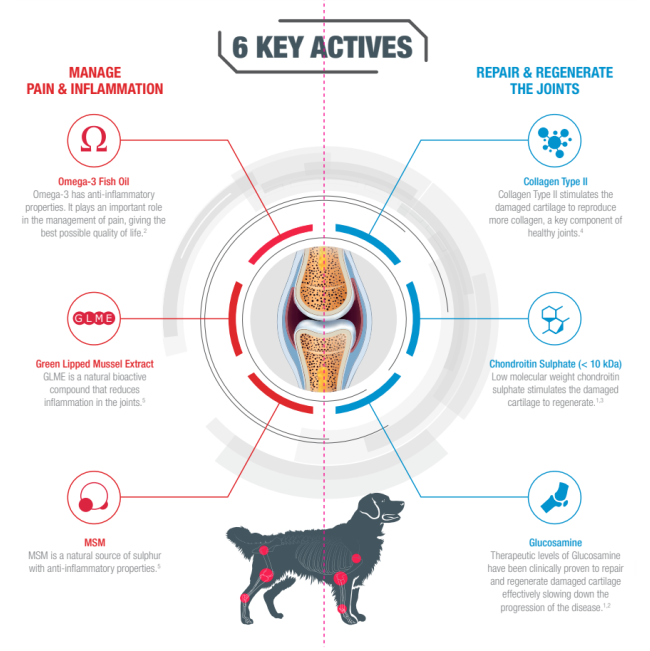 GCS Joint Care Advanced Powder For Dogs six key active ingredients in GCS